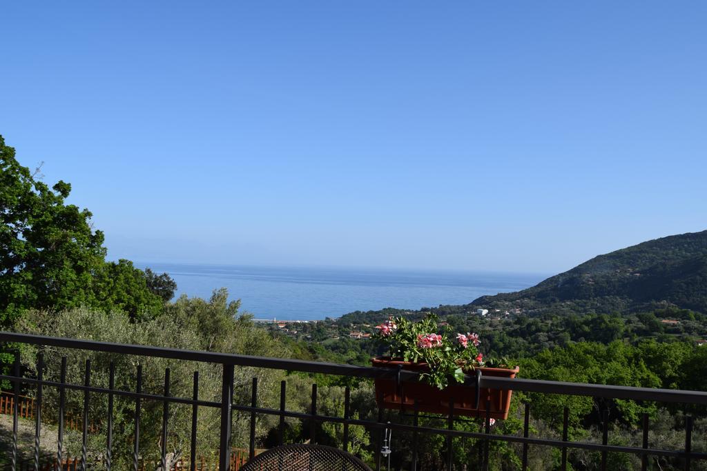 Al Boschetto Apartment Scario Exterior photo