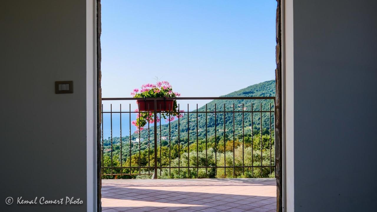 Al Boschetto Apartment Scario Exterior photo